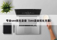 专业seo优化企业（seo企业优化方案）