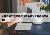 软件开发工程师咋样（软件开发工程师是干啥的）