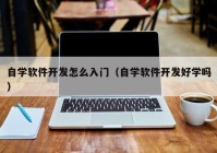 自学软件开发怎么入门（自学软件开发好学吗）