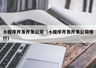 小程序开发开发公司（小程序开发开发公司排行）