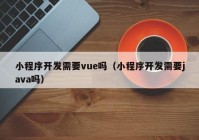 小程序开发需要vue吗（小程序开发需要java吗）