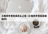 小程序开发完成怎么上线（小程序开发后后续如何）